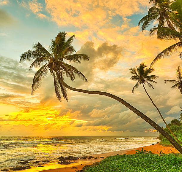 istock Sunset over the sea 512740684