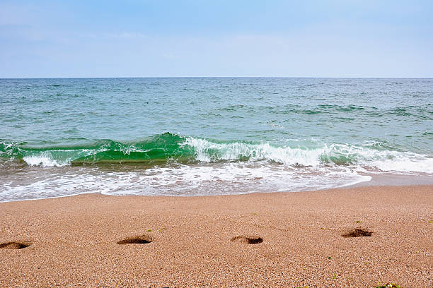 istock Footsteps on the beach by the sea in summer 512741692