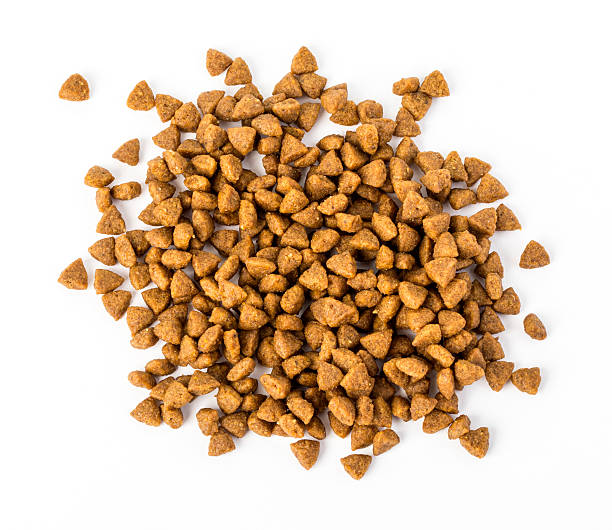 istock dry dog food isolated 512743494