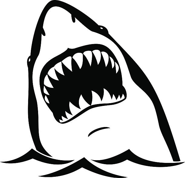 Shark Jaws Illustrations, Royalty-Free Vector Graphics & Clip Art - iStock Shark Jaws Illustrations, Royalty-Free Vector Graphics & Clip Art - iStock