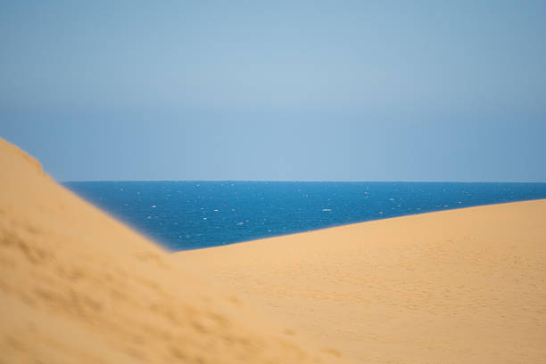 large area yellow sand and blue sea and sky with people  at tottori sandune in japan a large sand area
