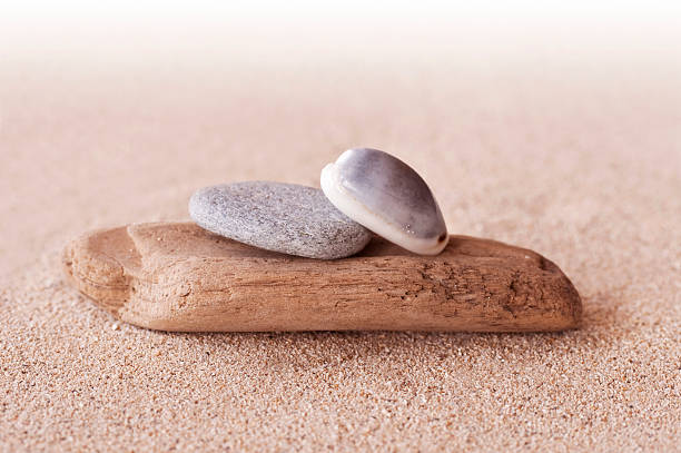 istock Zen stones,  sand and seashells 512747642