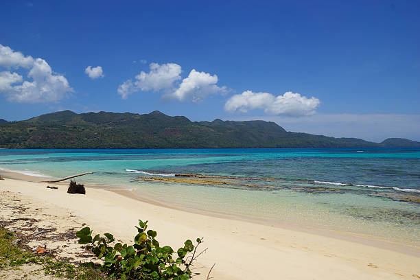 istock Virgin beach, Samana peninsula, Dominican Republic, playa rincon 512749080