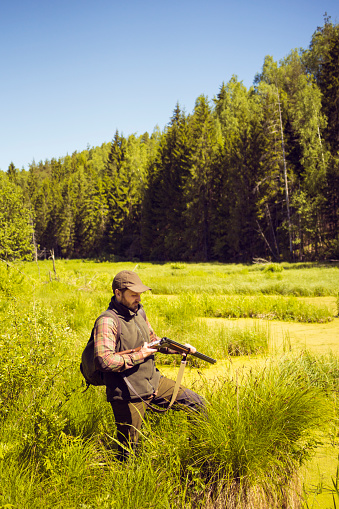 Hunter is loading his shotgun while standing in a swamp surrounded by tall water plants and green puddles. It is a sunny clear blue sky day. Conifer trees are visible in the background in diminishing perspective. It is a beautiful summer scenery. Plenty of copy space available. Made in Northern Europe, Estonia.