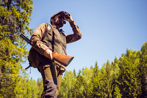 A mid aged man in specialised clothing is looking through binoculars into the distance while standing in an open forest area. He is carrying a backpack and shotgun with him. He looks serious and focused. High contrast and vibrant colours in the image. Vivid greens versus a clear blue sky. Image contains copy space.