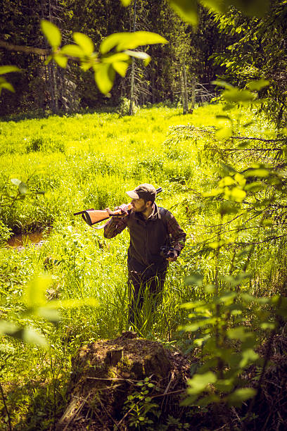 Hiker in a Sunny Swamp Area near the Forest