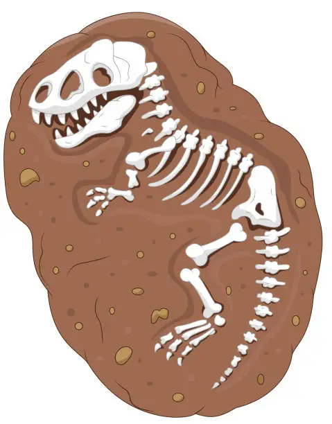 Vector illustration of Cartoon Tyrannosaurus rex fossil