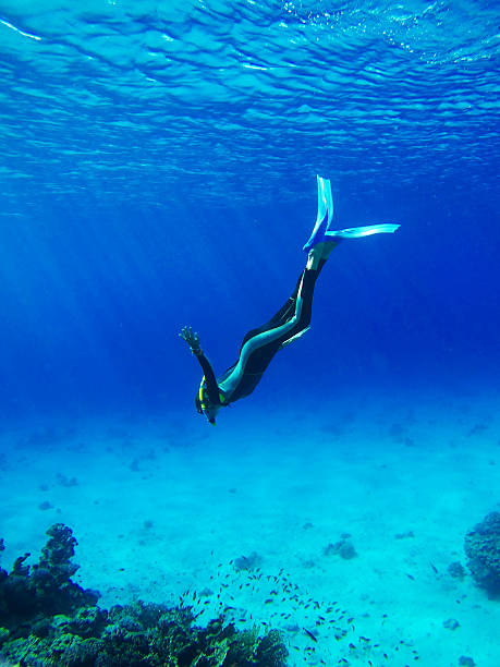 ダイバーに紺碧の海 - underwater diving scuba diving underwater reef ストックフォトと画像