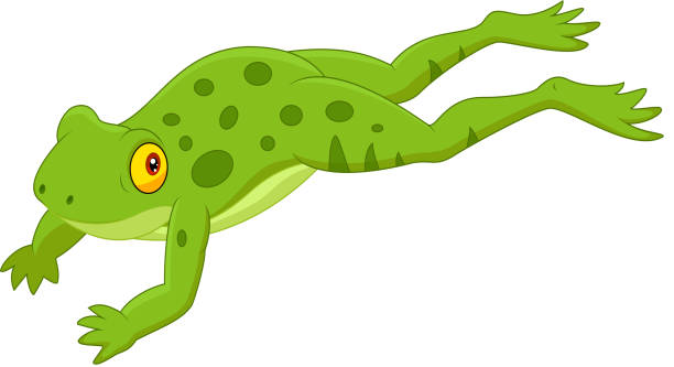 Cute Frog Cartoon Jumping Stock Illustration - Download Image Now - Frog,  Jumping, Toad - iStock