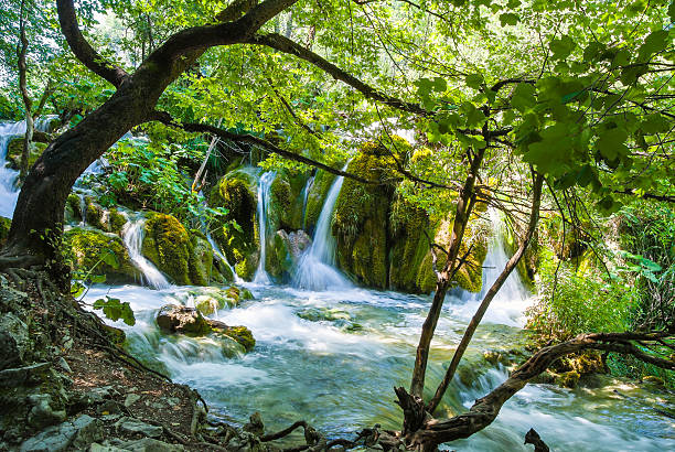 Beautiful cascades at Plitvice National Park Croatia stock photo