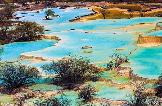istock colorful terraced field with water 512752066