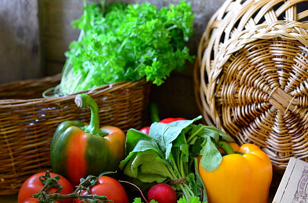 istock Tomatoes, radishes, peppers, parsley and wickerwork handbasket 512752804