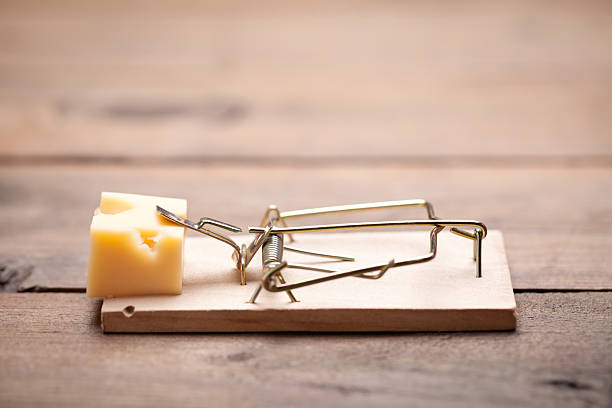 istock Close up of mouse trap on old wooden table 512753140