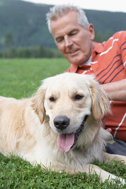 istock Man With Golden Retriever On Grass 512753519