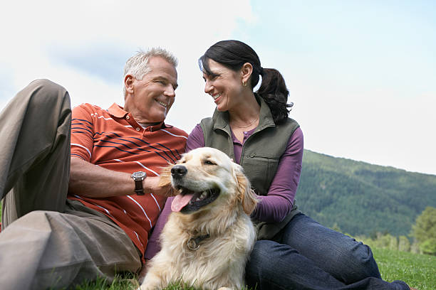 istock Couple With Golden Retriever On Grass 512753523