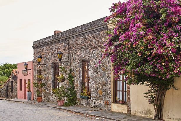 istock Colony of the Sacramento 512756862