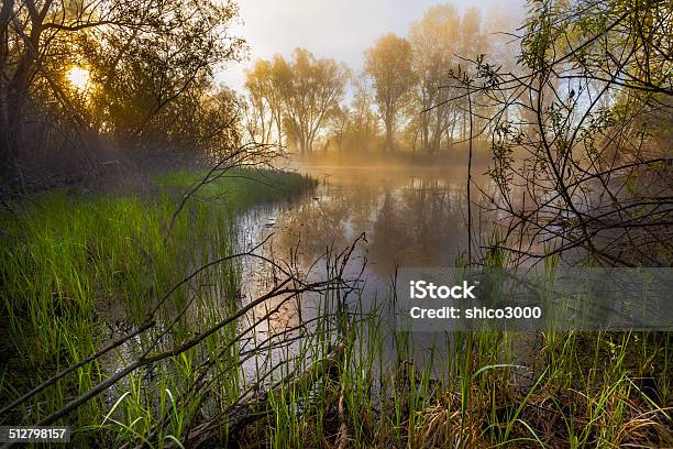 Serene Misty Morning On A Lakeside Stock Photo - Download Image Now - Fog, Heather, Horizontal
