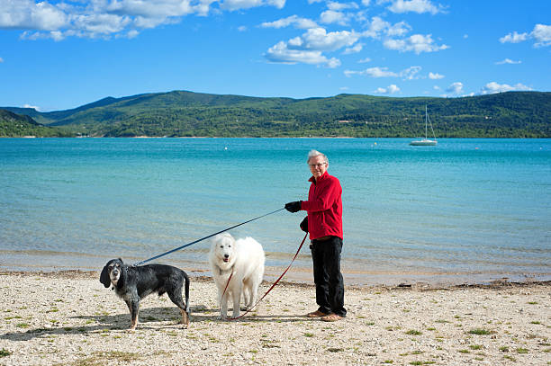 starszy człowiek z psami na wakacje, francja - verdon river france beach people zdjęcia i obrazy z banku zdjęć