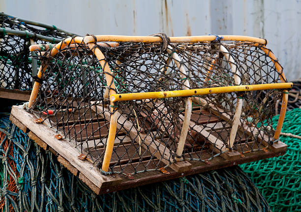istock Lobster pot sitting on colourful fishing nets 512802703