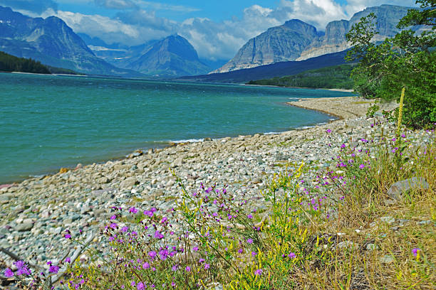 istock Wildflowers and mountains surround a clear blue lake. 512803675