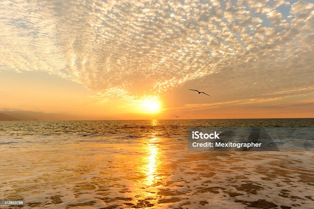 Ocean Sunset Ocean sunset is birds in a flight of freedom and inspiration towards a vibrant bright sun against an beautiful orange sunset sky. Freedom Stock Photo