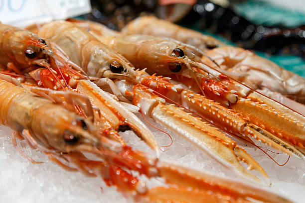 istock fresh Nephrops on sale at market 512811076