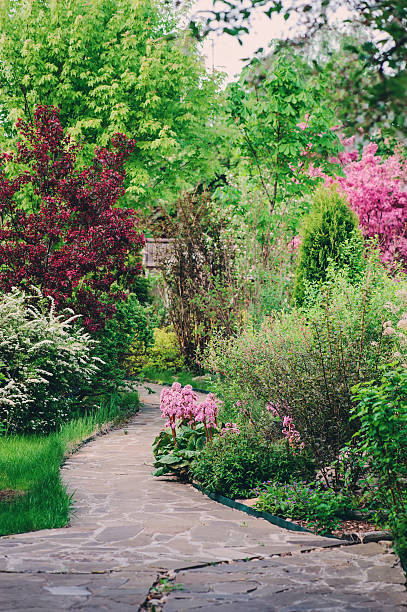 istock English garden in spring. blooming trees and shrubs. 512813466