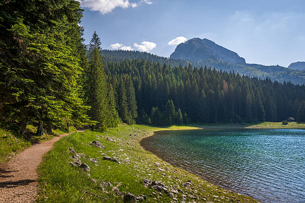 istock Hiking path at Durmitor national park 512814852