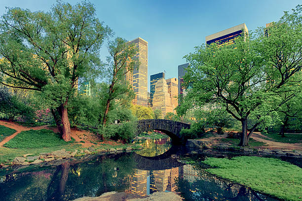 istock Gapstow Bridge in Central Park, New York City 512815568
