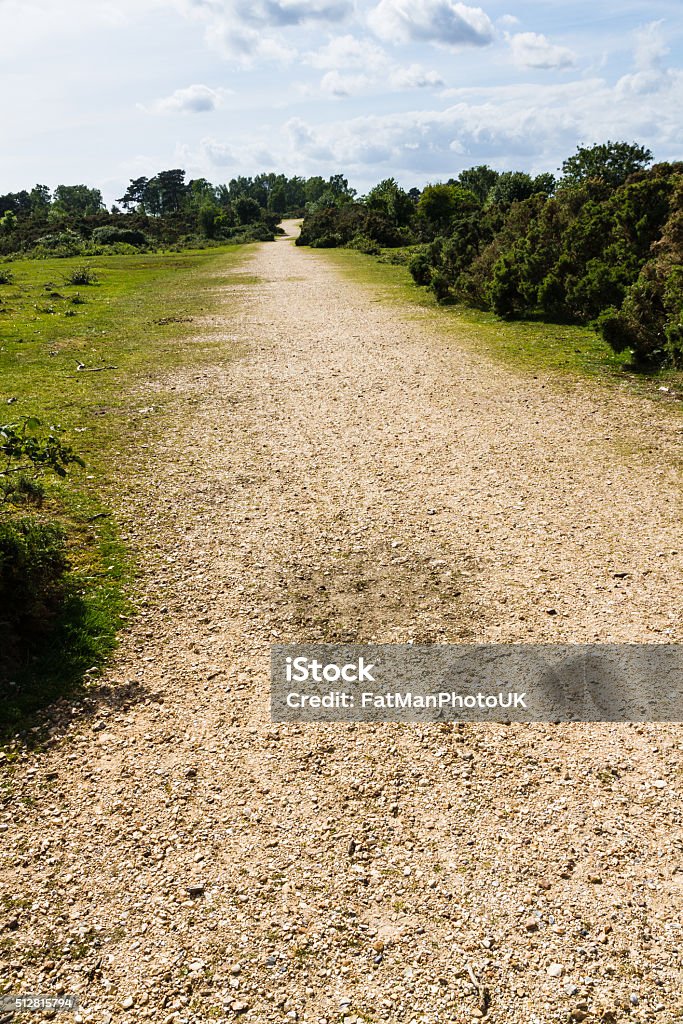 Track in the New Forest Gravel path in New Forest National Park, Hampshire, England, United Kingdom. Country Road Stock Photo