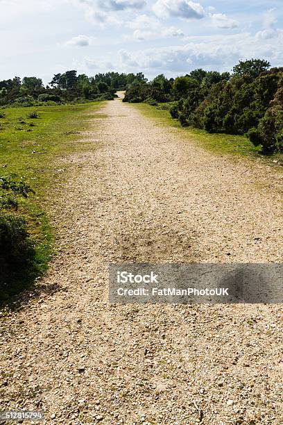 Track In The New Forest Stock Photo - Download Image Now - Country Road, Dirt Road, England