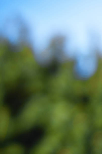 istock Lens blured green and blue background 512816026