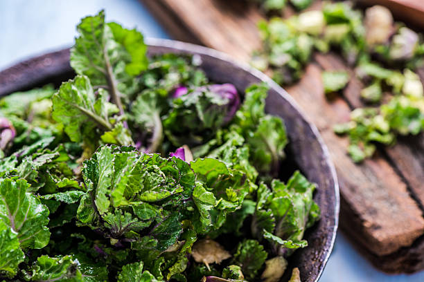 Fresh brussel and kale sprouts flower stock photo
