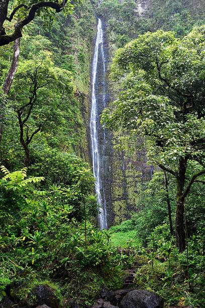 ワイモク滝、pipiwai トレイル キパフル 州立公園、マウイ、ハワイ州 - waterfall maui hawaii islands hana ストックフォトと画像