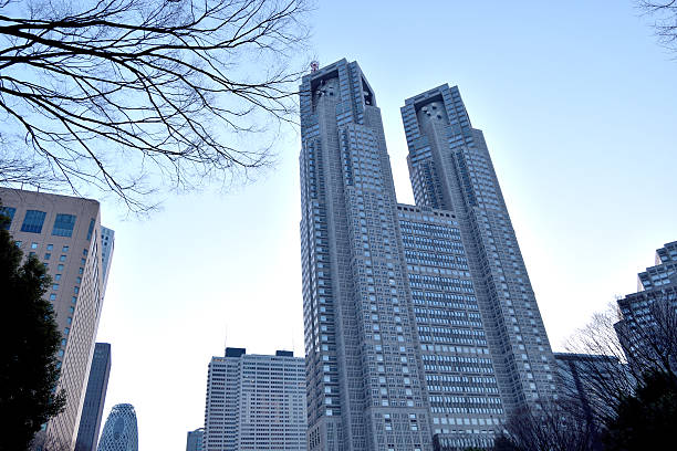 istock The Tokyo Metropolitan Government 512828238