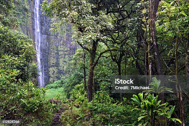 Waimoku Falls Pipiwai Trail Kipahulu State Park Maui Hawaii Stock Photo - Download Image Now