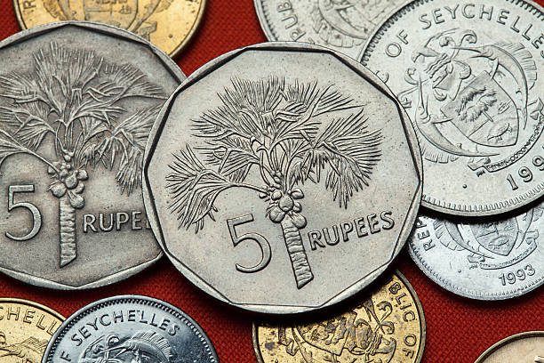 istock Coins of the Seychelles. Coconut palm (Cocos nucifera) 512828340