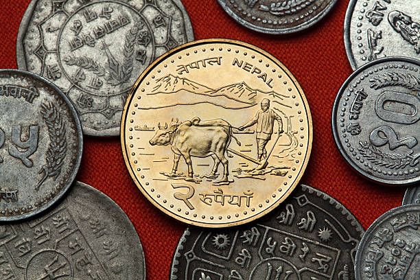 istock Coins of Nepal. Farmer ploughing with water buffalos 512828366