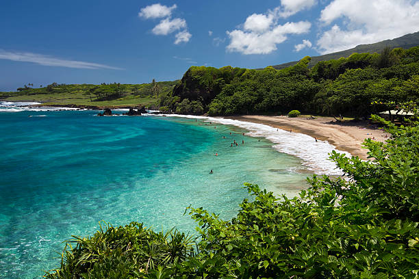 hamoa 해변 근처, 하나, 이스트 사이드 마우이, 하와이 - hana maui sea scenics 뉴스 사진 이미지