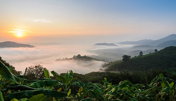 Sunrise with sea of fog above Mekong river Sunrise with sea of fog above Mekong river at Phu Huai Isan mountain viewpoint in Nong Khai Province, Thailand nong khai province stock pictures, royalty-free photos & images