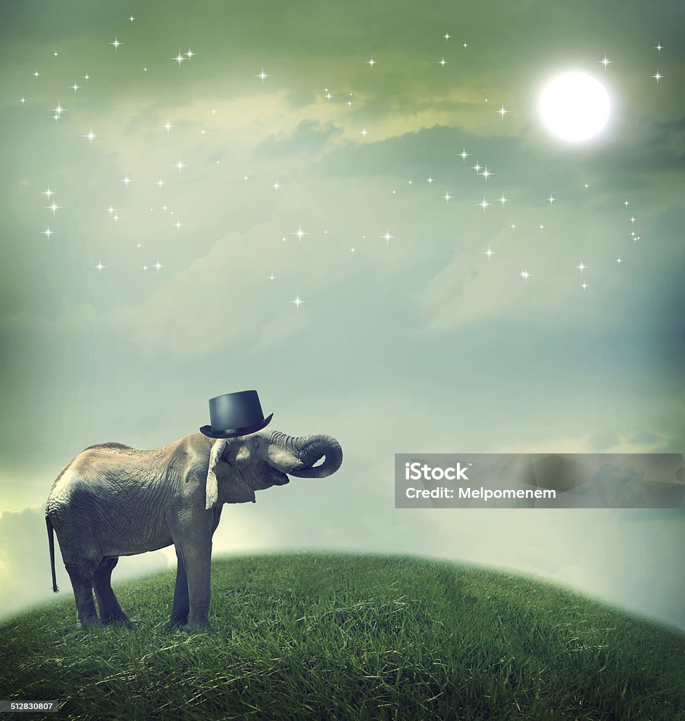 Elephant with top hat on fantasy landscape Elephant with top hat on fantasy landscape under the moon Elephant Stock Photo