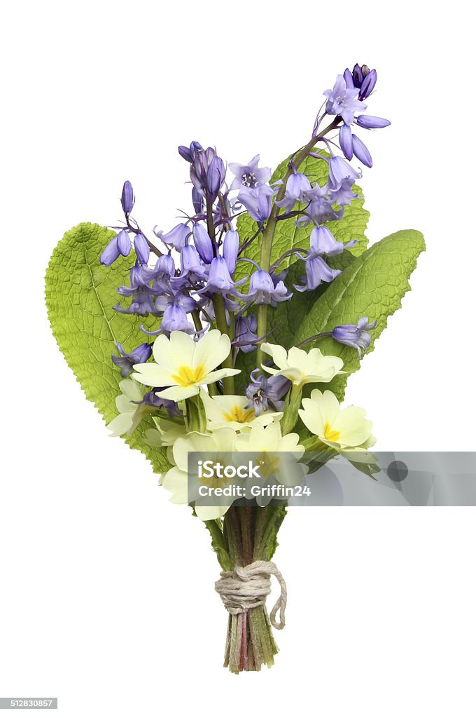 posy of flowers Posy of Spring wild flowers, bluebells and primrose isolated against white Blossom Stock Photo