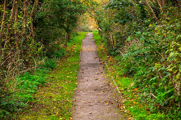 road in the park, Hythe, England stock photo