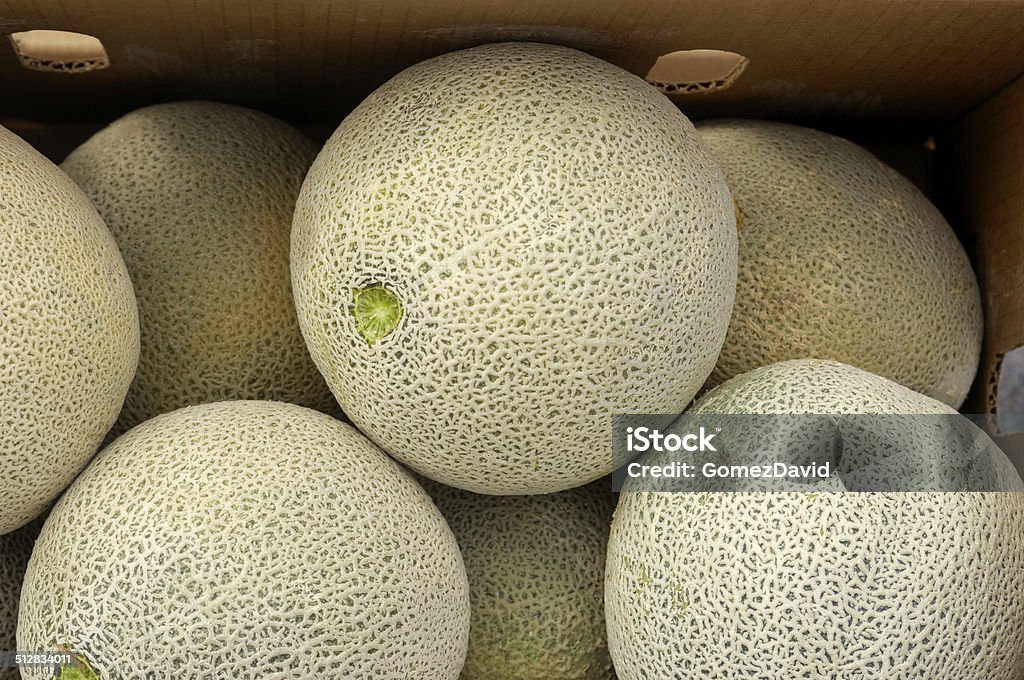 Close-up of Cantaloupes Ready for Shipping Box of cantaloupes packed in a carton ready for shipping to market. Agriculture Stock Photo
