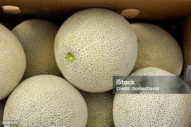 Closeup Of Cantaloupes Ready For Shipping Stock Photo - Download Image Now - Agriculture, Beige, Cantaloupe
