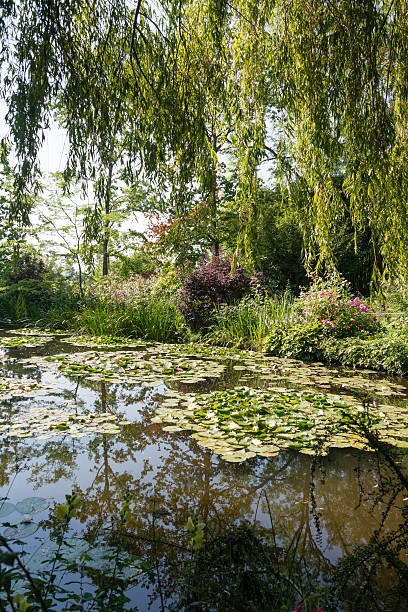 istock Garden of Claude Monet (XXXLarge) 512834373