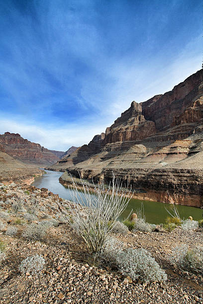 istock The Grand Canyon 512835415