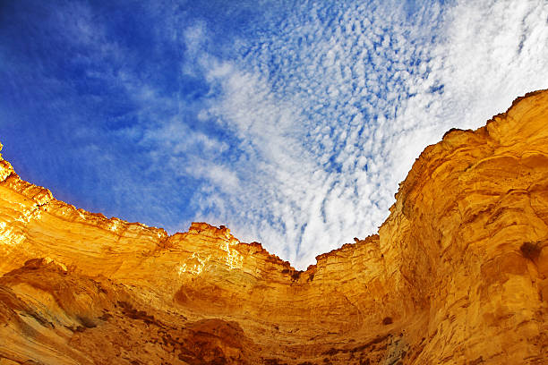 The walls of a canyon from sandstone, shined by the spring sun