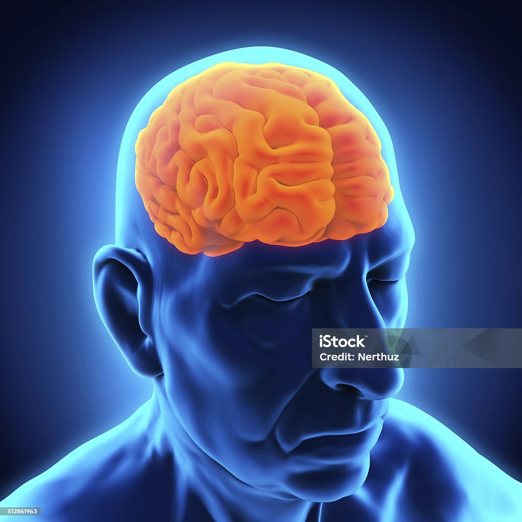 Vieil homme anatomie du cerveau - Photo de Démence libre de droits