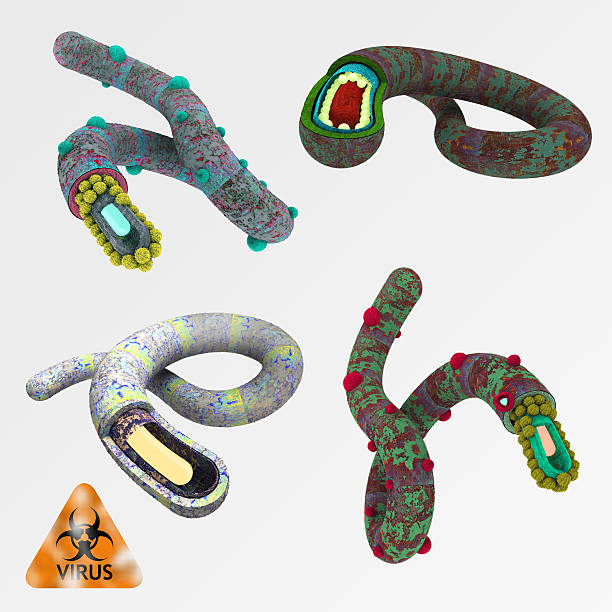 istock Colorful illustration set of viruses 512862937
